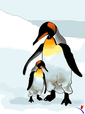 infospinguin.gif (17733 bytes)